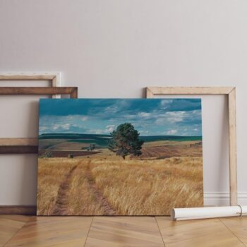 Central Russia agricultural  countryside country road Canvas Wall Art 90x60